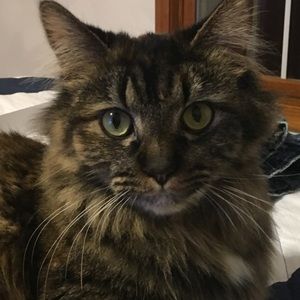 Meet your Posher, Becky